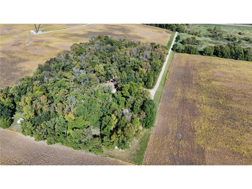 21553 County Road 34 Eden Valley MN 55329 6794880 image6