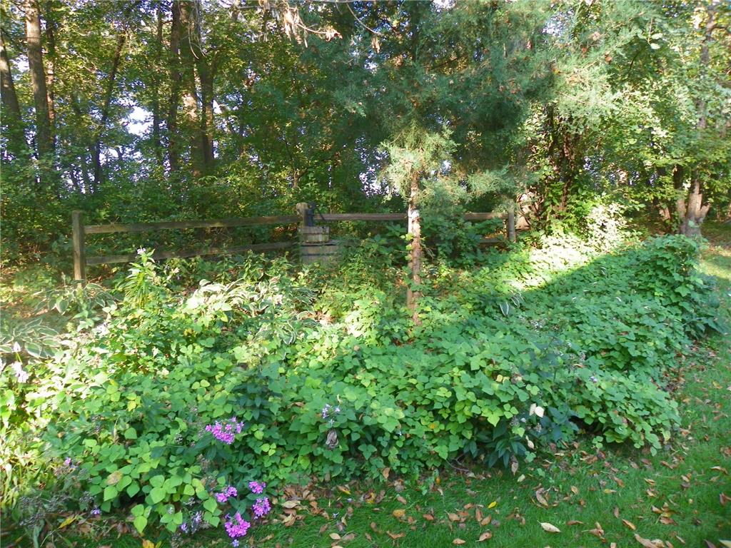 21553 County Road 34 Eden Valley MN 55329 6794880 image70