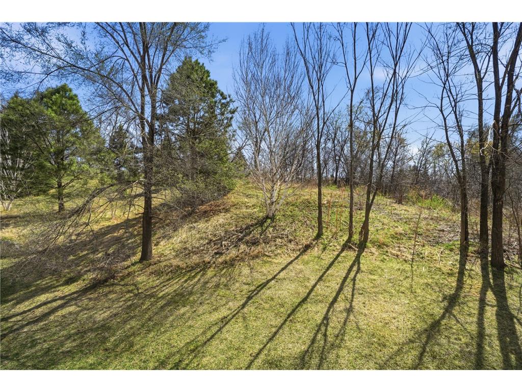 2156 Cedar Grove Trail Eagan MN 55122 7046375 image35