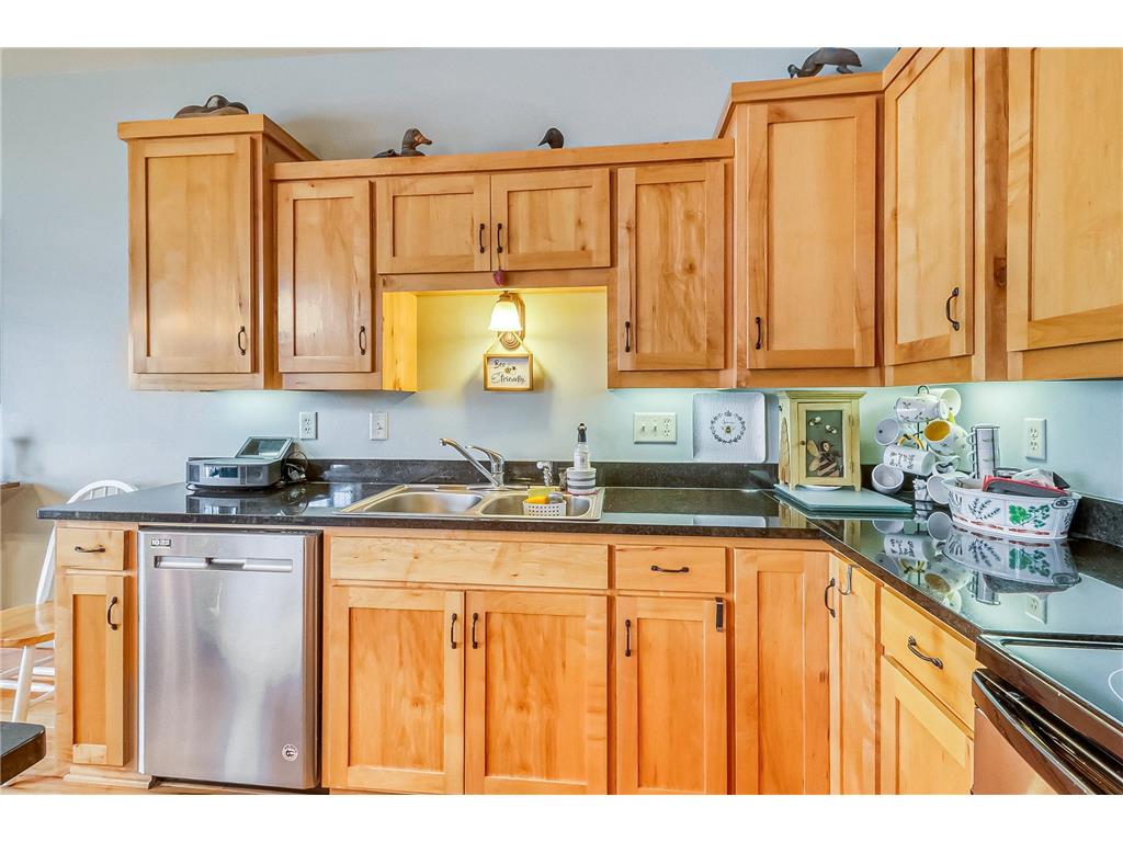 2156 Shady Lane Detroit Lakes MN 56501 - Detroit 7033048 image25