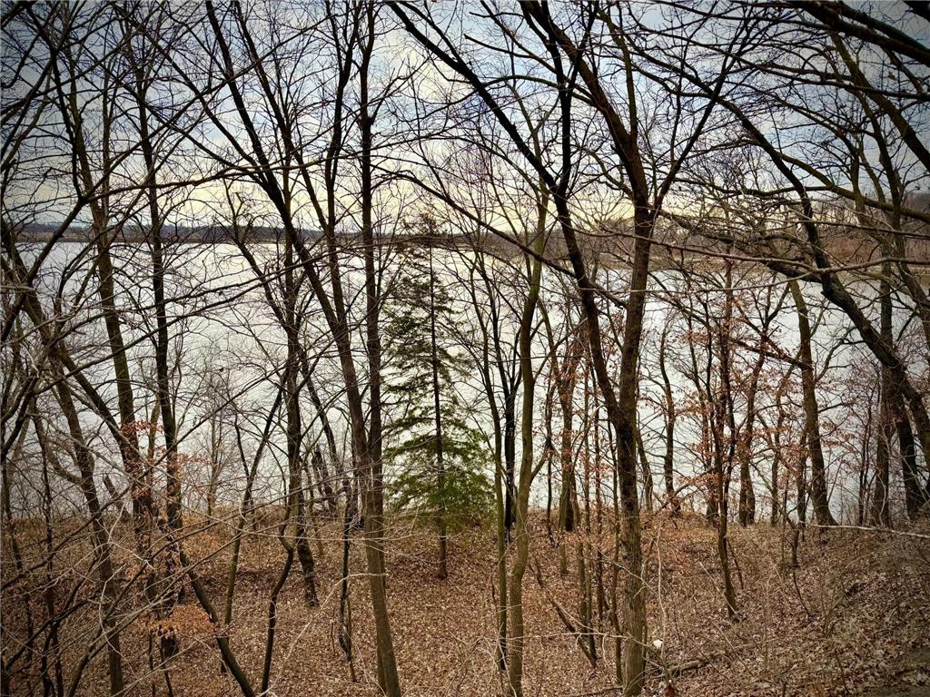 21567 Vergus Avenue Spring Lake Twp MN 55372 - Cynthia 7020363 image15