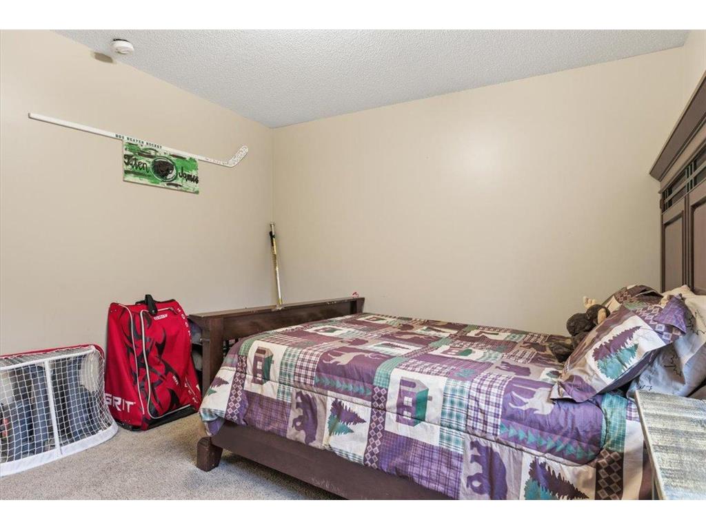 2157 Oak Ridge Road SW Grant Valley Twp MN 56601 6817484 image20