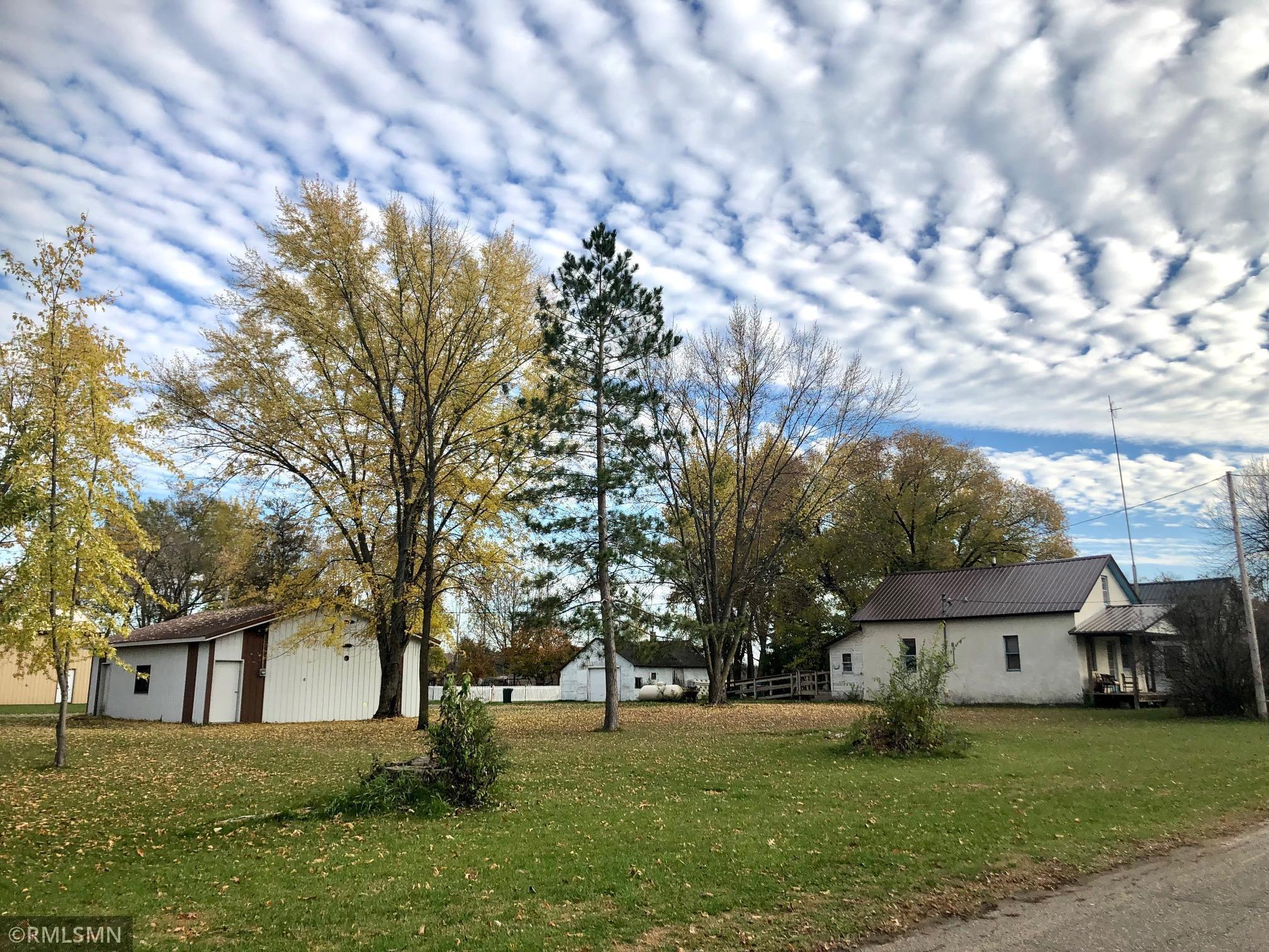 216 2nd Avenue S, Bowlus, MN, 56314 MLS 7190164 Edina Realty