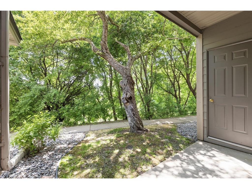 2160 Ridge Drive #11 Saint Louis Park MN 55416 7051296 image14