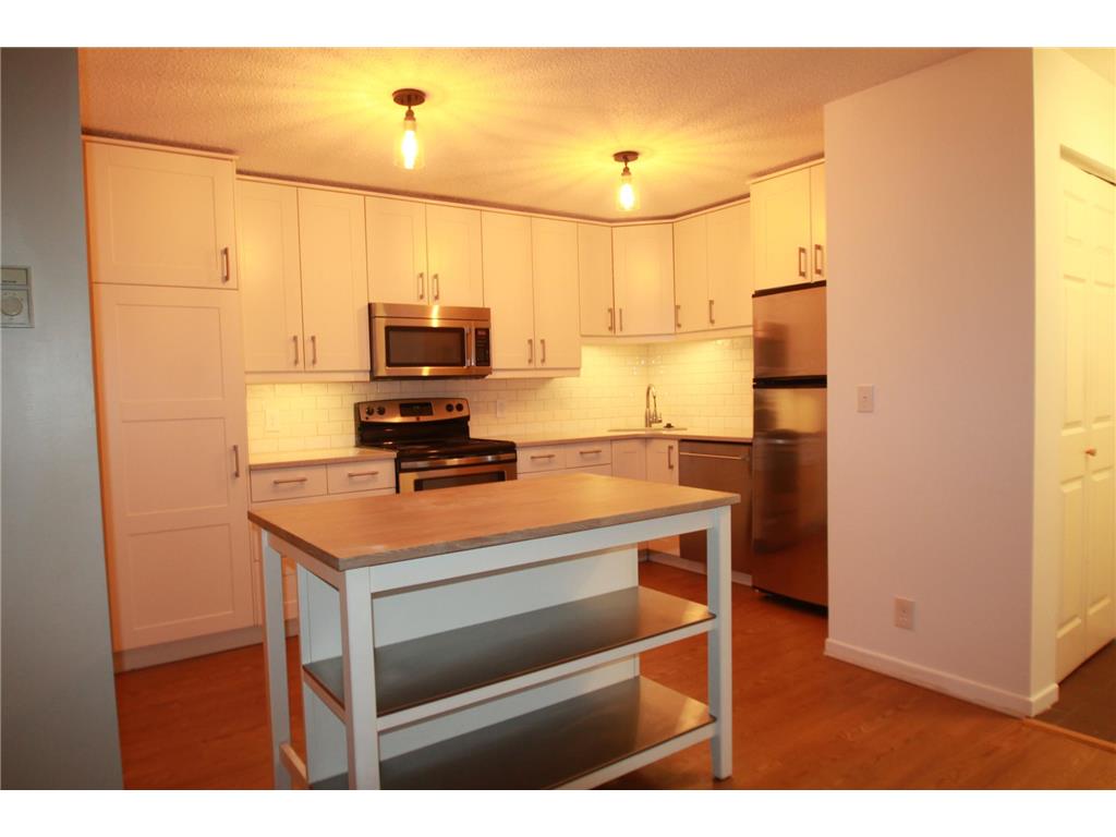 2160 Ridge Drive #21 Saint Louis Park MN 55416 6813858 image2