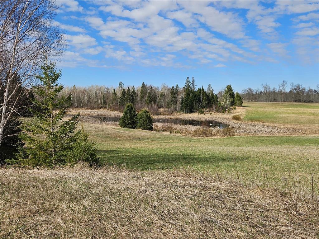 21601 300th Street Bagley MN 56621 7034454 image69