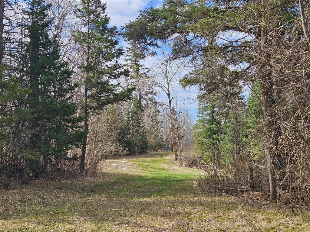 21601 300th Street Bagley MN 56621 7034454 image71