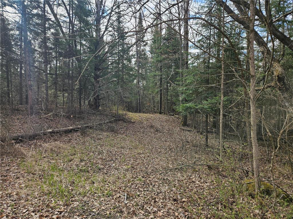 21601 300th Street Bagley MN 56621 7034454 image72