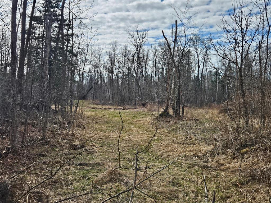 21601 300th Street Bagley MN 56621 7034454 image73