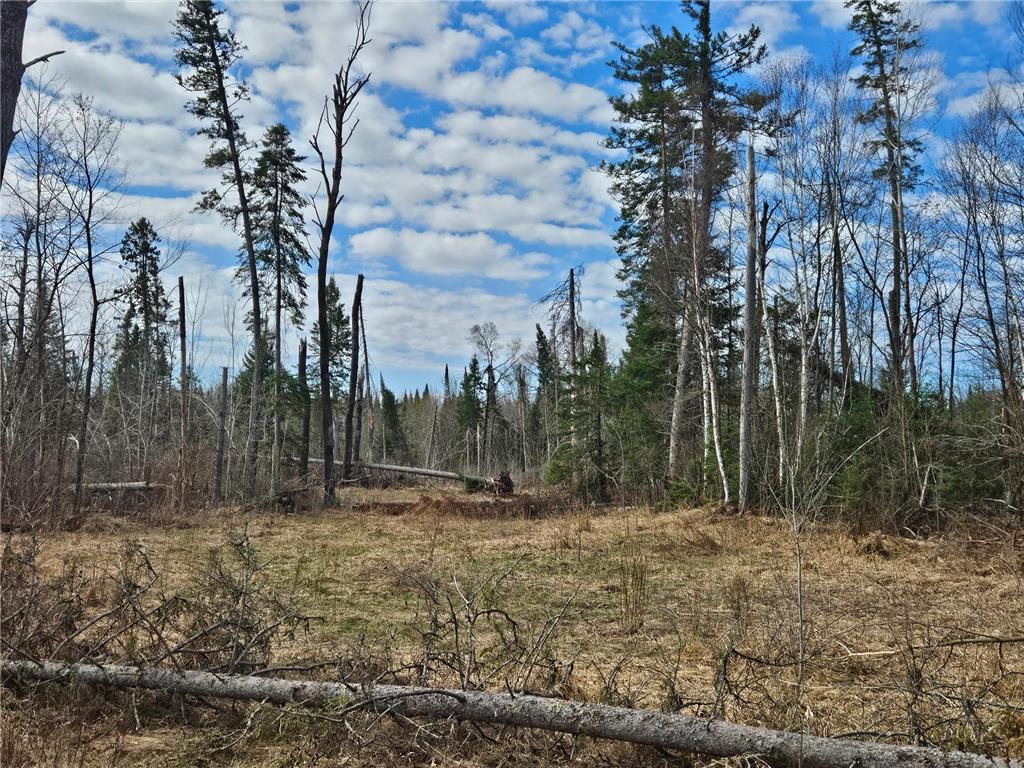 21601 300th Street Bagley MN 56621 7034454 image74