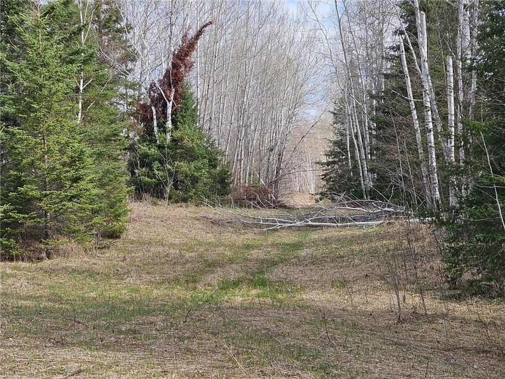 21601 300th Street Bagley MN 56621 7034454 image76
