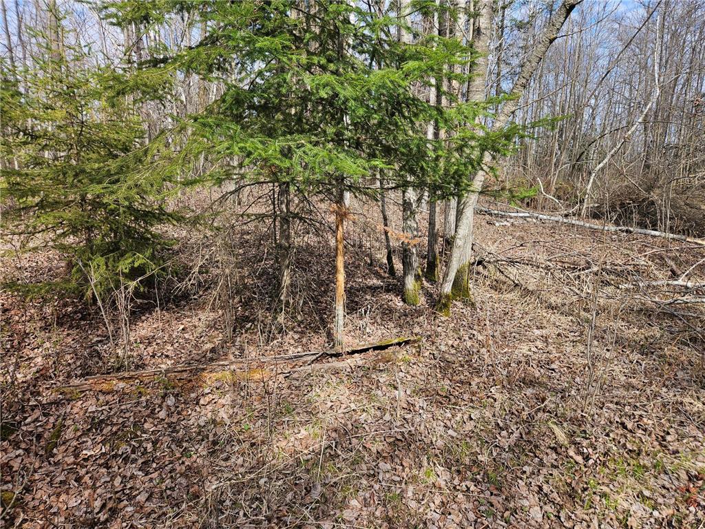 21601 300th Street Bagley MN 56621 7034454 image77