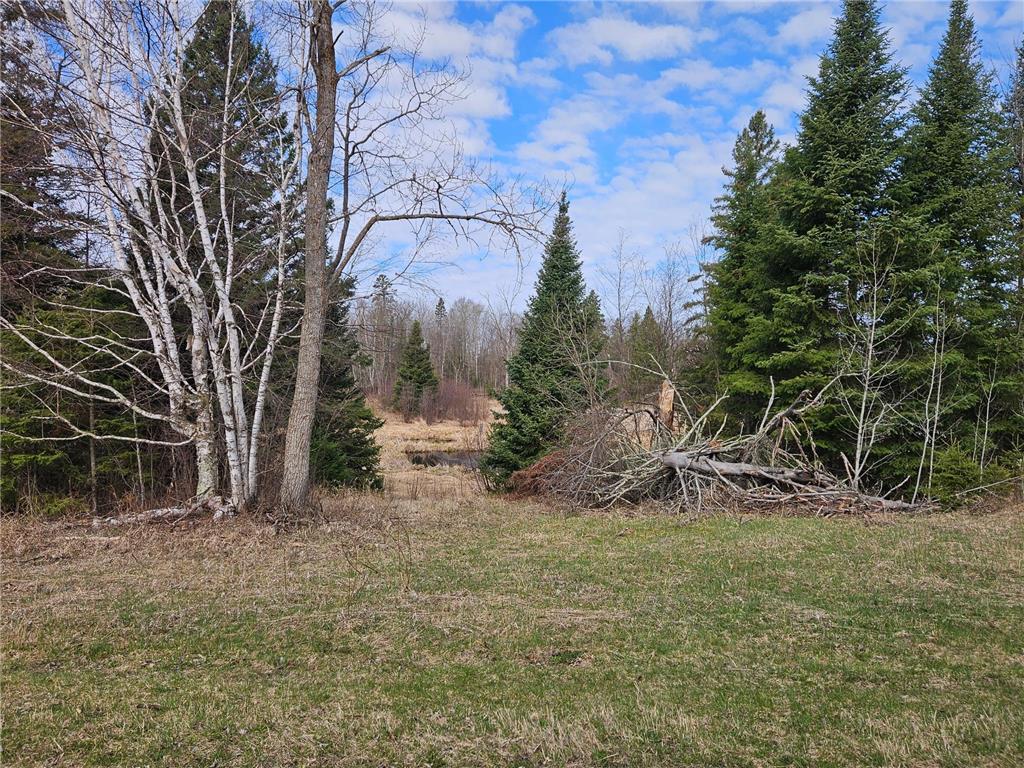 21601 300th Street Bagley MN 56621 7034454 image80