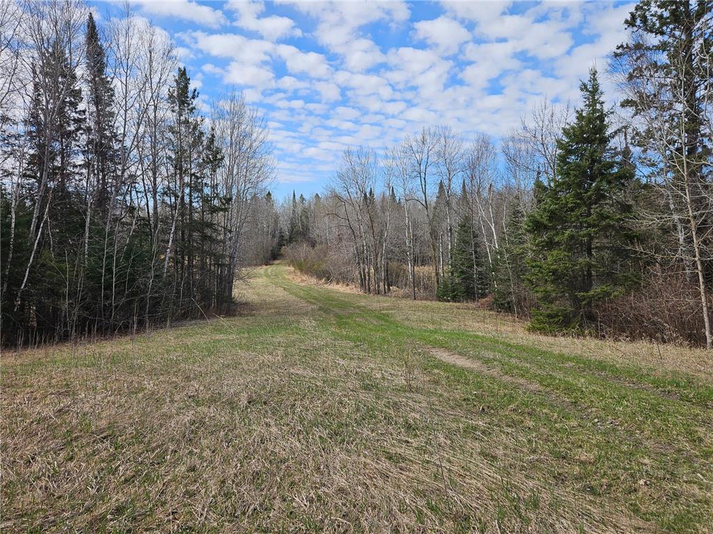 21601 300th Street Bagley MN 56621 7034454 image81