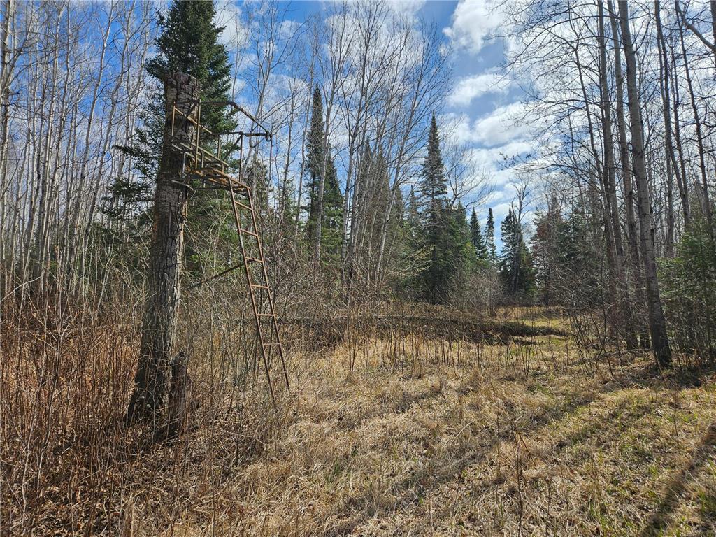 21601 300th Street Bagley MN 56621 7034454 image86