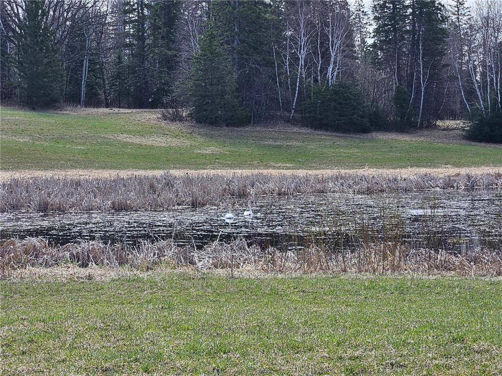 21601 300th Street Bagley MN 56621 7034454 image89