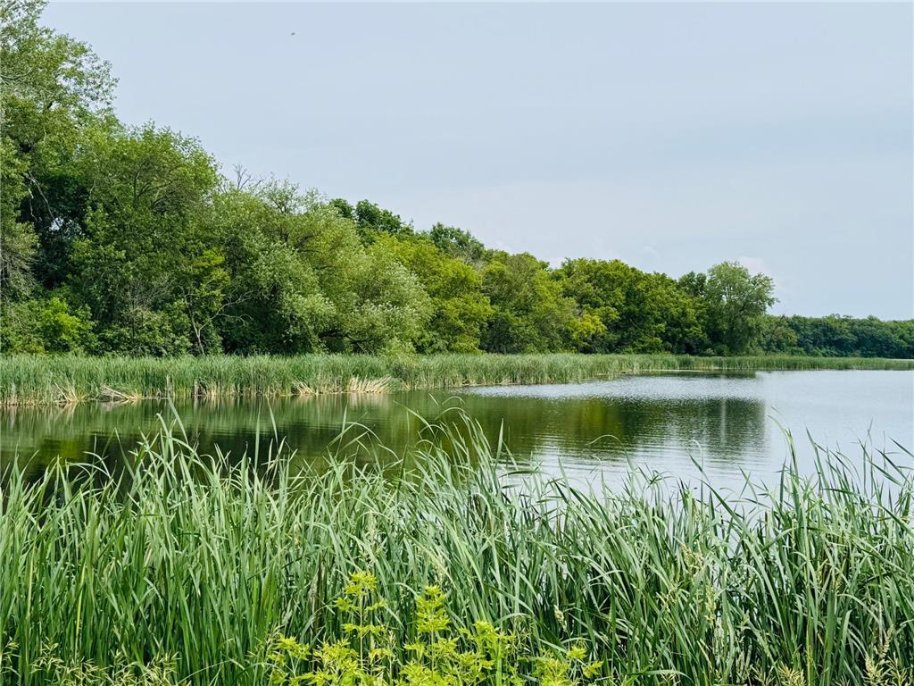 21631 Kandi-Swift Road NW Norway Lake Twp MN 56289 - Sunburg 6741742 image1