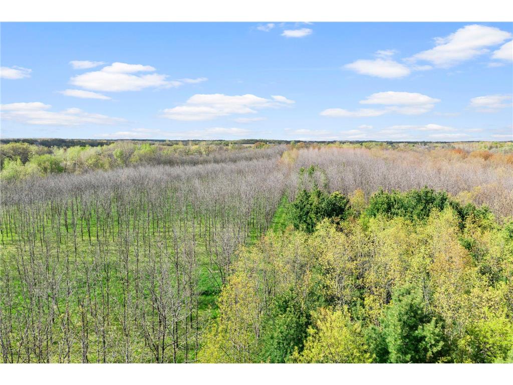 21650 Oakdale Drive Corcoran MN 55374 7060202 image47