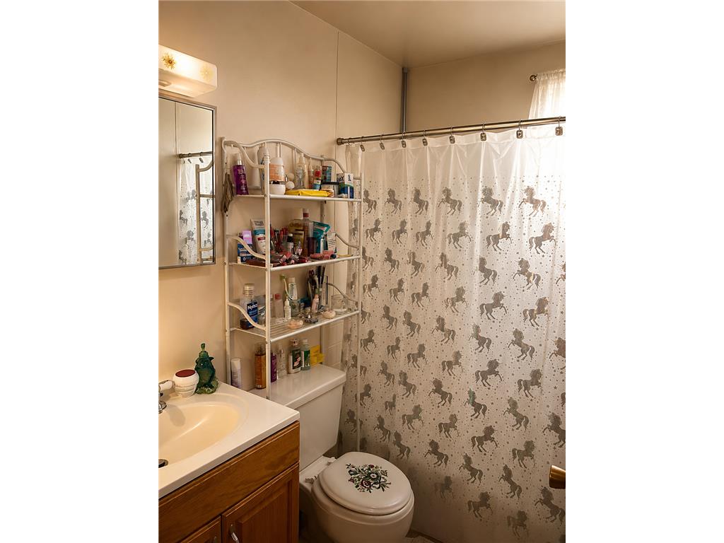217 & 219 3rd Street NW Bemidji MN 56601 7105694 image21