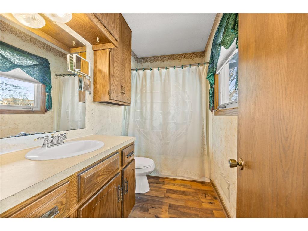 217 Beech Street Chaska MN 55318 6825140 image13