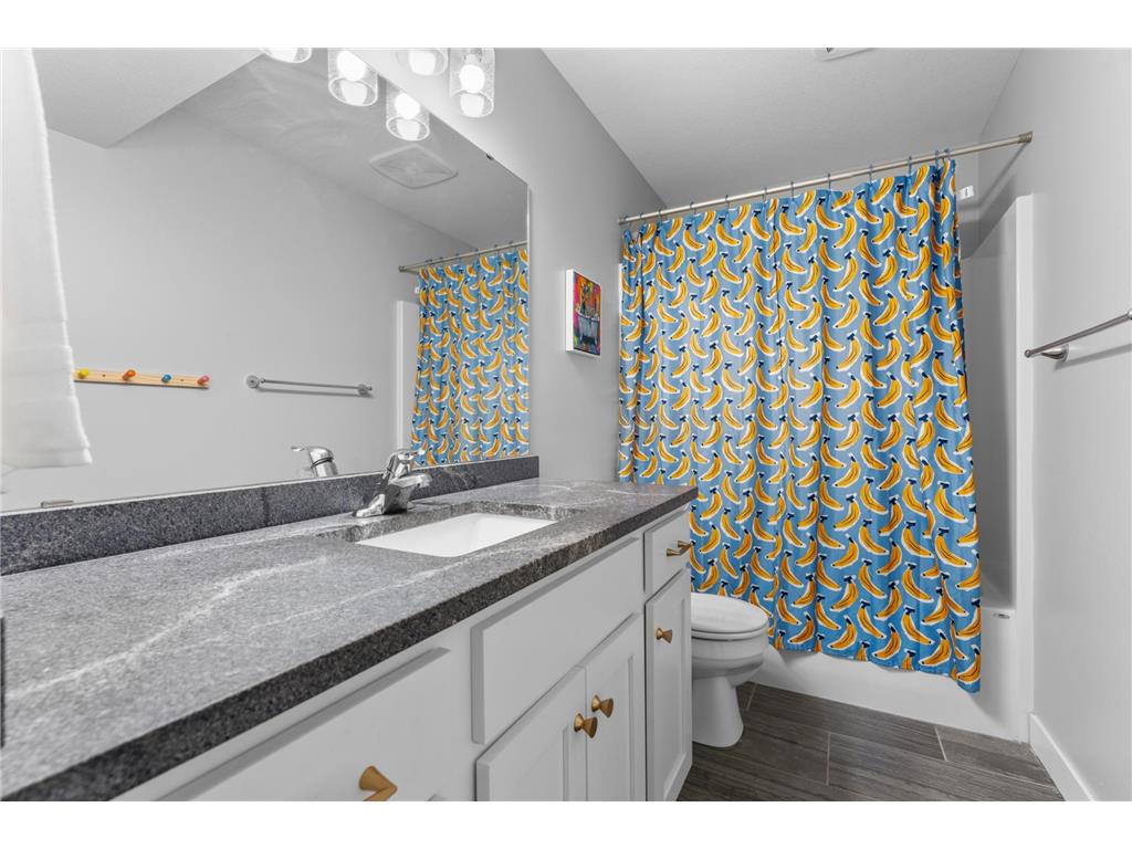 217 Brookestone Drive SE Rochester MN 55904 7084113 image18