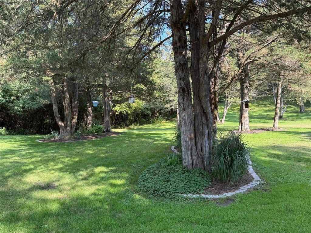 217 Cedar Drive W Hudson WI 54016 - St Croix River 7013647 image61