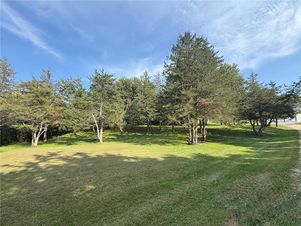 217 Cedar Drive W Hudson WI 54016 - St Croix River 7013647 image62