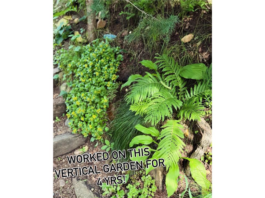 217 Cedar Drive W Hudson WI 54016 - St Croix River 7013647 image66