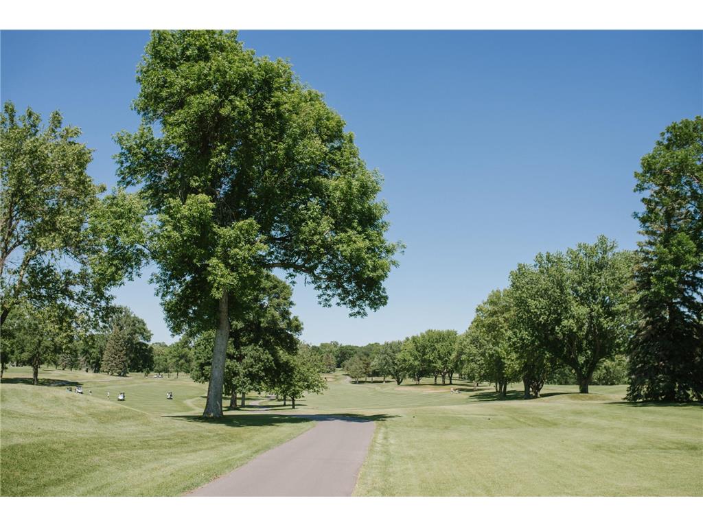 217 Huntington Drive Waconia MN 55387 7073476 image25