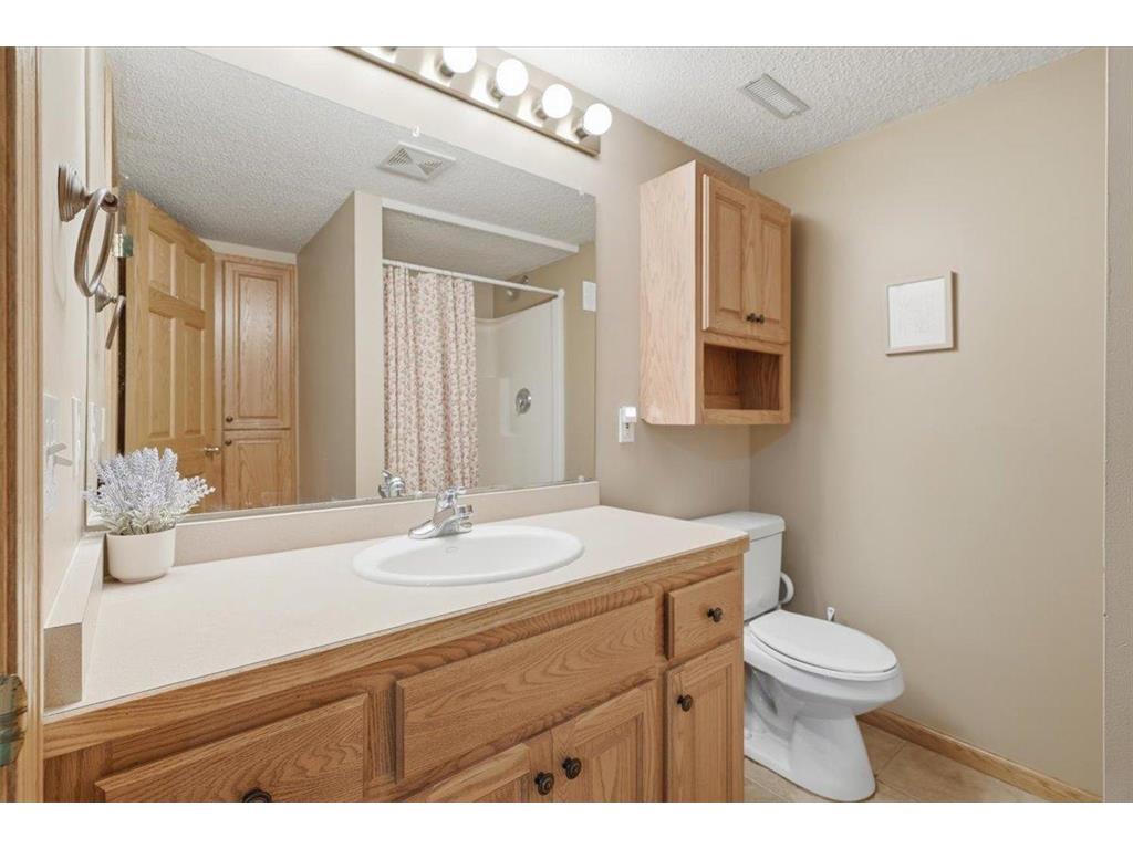 217 Meadow Sweet Place Watertown MN 55388 7082037 image25
