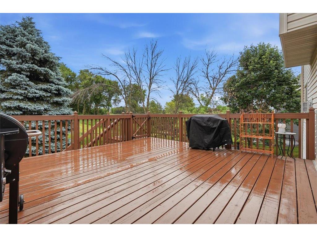 217 Meadow Sweet Place Watertown MN 55388 7082037 image44