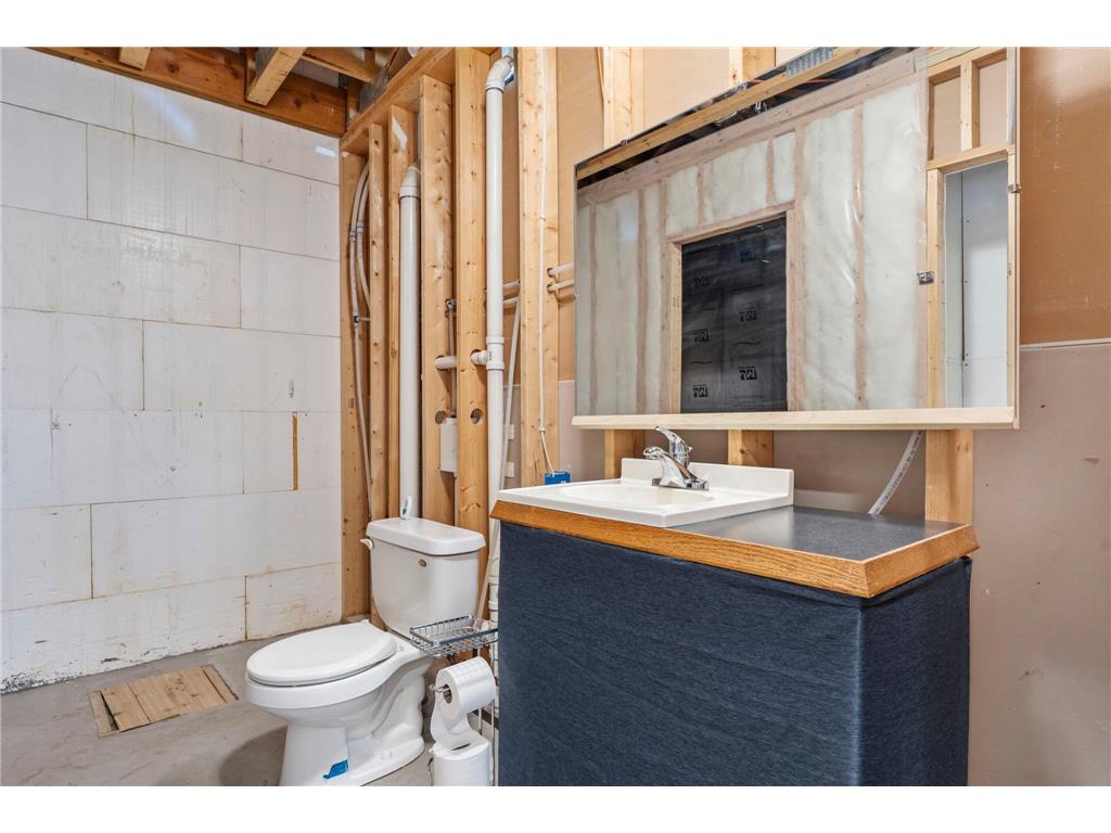 217 Primrose Lane Cannon Falls MN 55009 6809966 image25