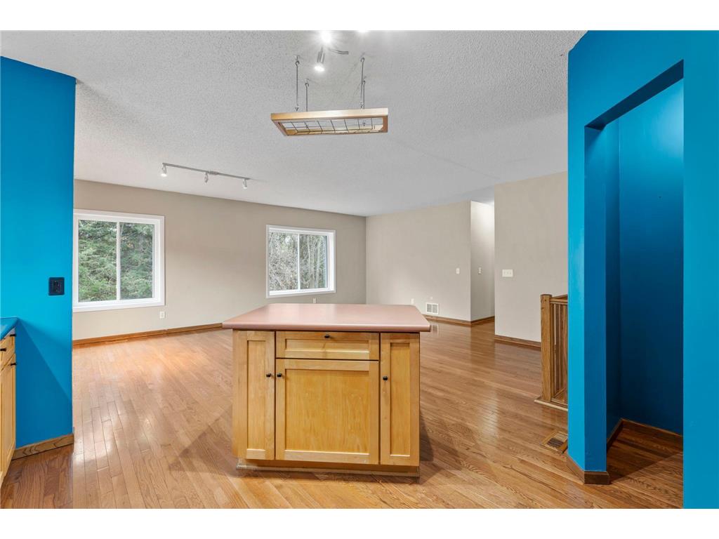 217 Primrose Lane Cannon Falls MN 55009 6809966 image8