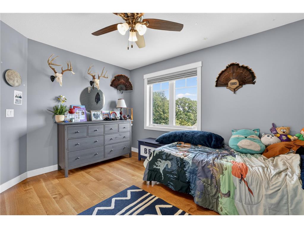 217 Skyline Drive Wabasha MN 55981 7077413 image34