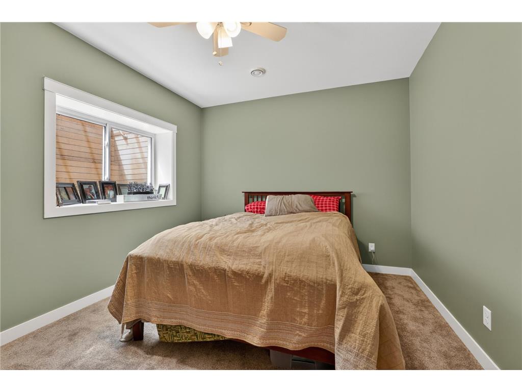 217 Skyline Drive Wabasha MN 55981 7077413 image39
