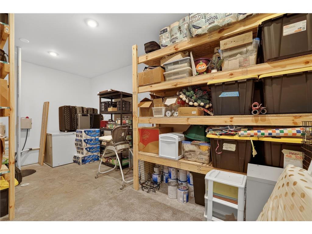 217 Skyline Drive Wabasha MN 55981 7077413 image45