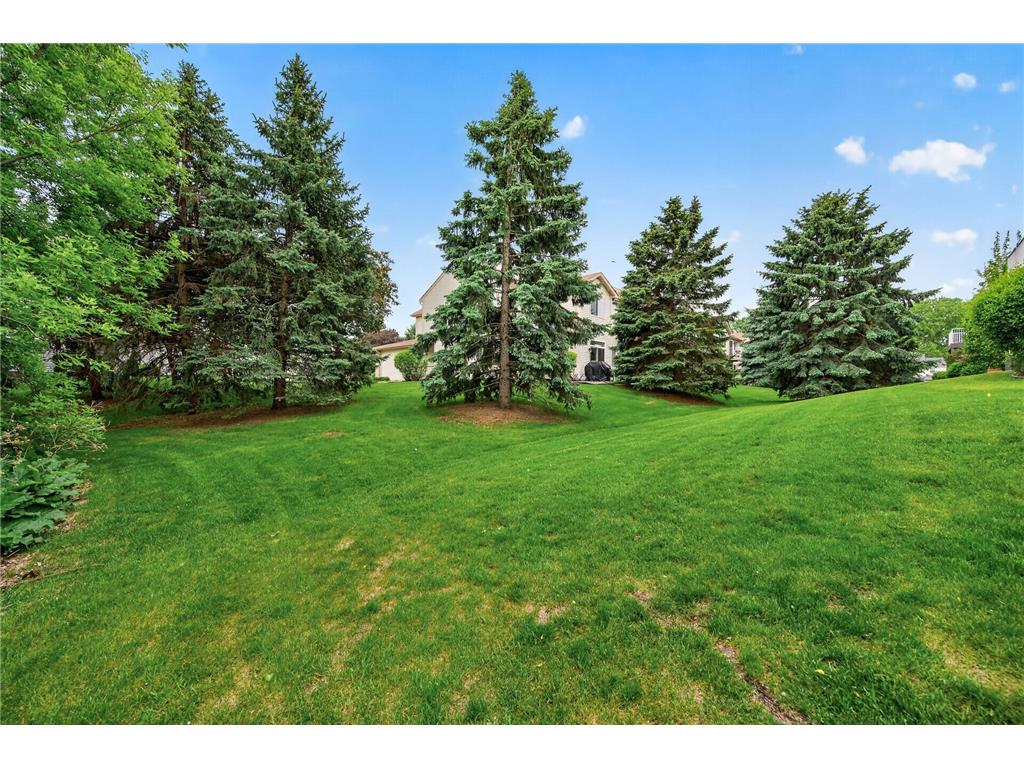2170 Cool Stream Circle #1803 Eagan MN 55122 7080979 image27