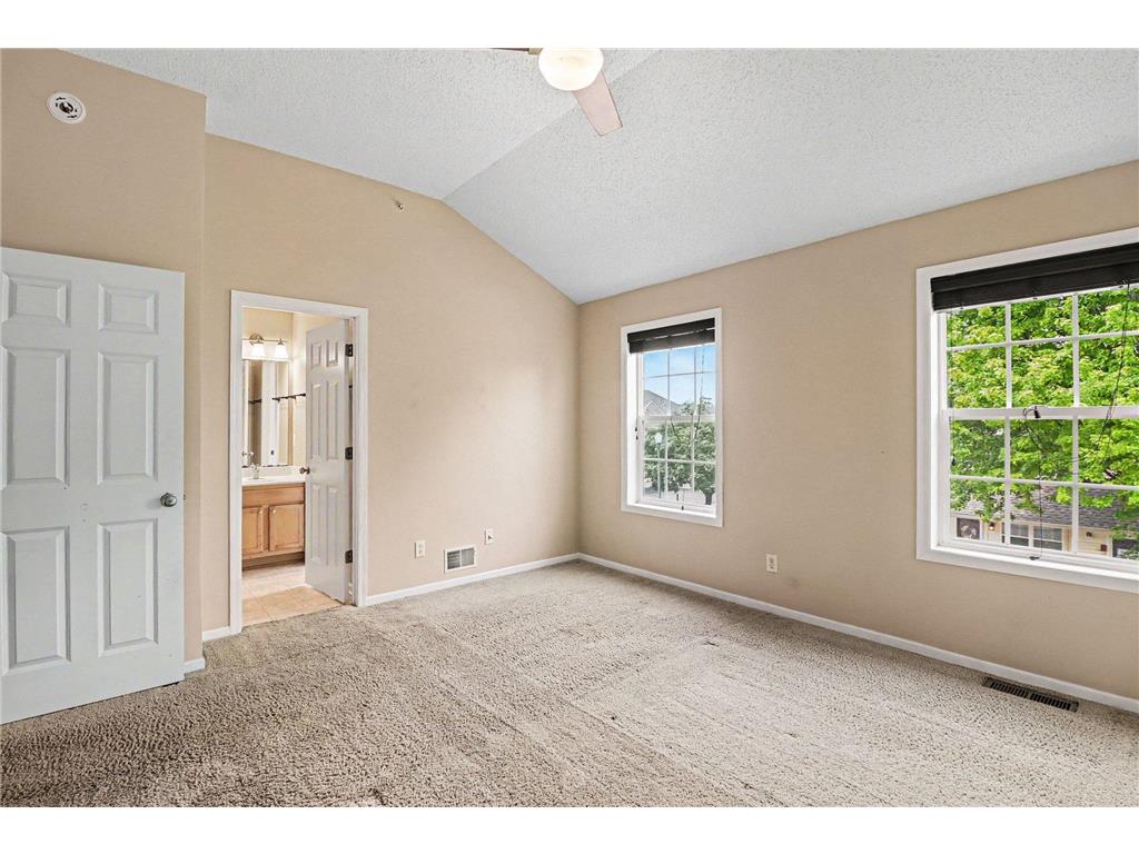 2171 Shamrock Place Chaska MN 55318 7079061 image13