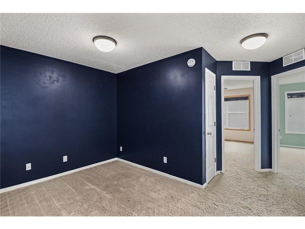 2171 Shamrock Place Chaska MN 55318 7079061 image17