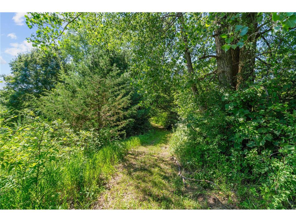 2172 90th Street Star Prairie WI 54025 7107157 image72