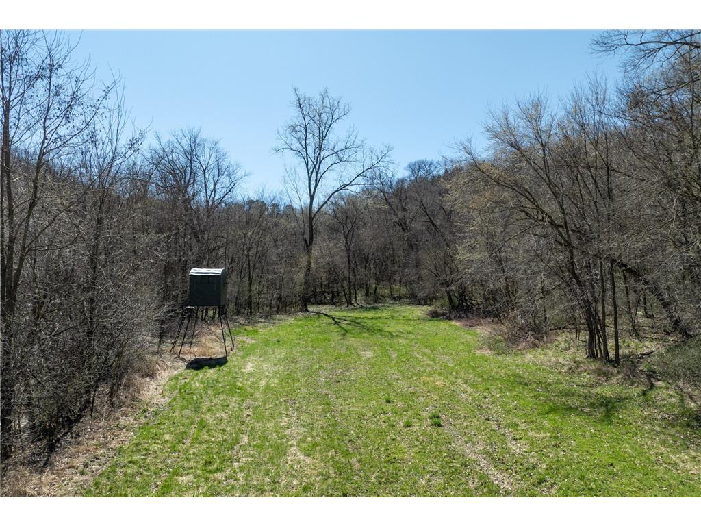 21726 287th Street Featherstone Twp MN 55066 7056879 image17