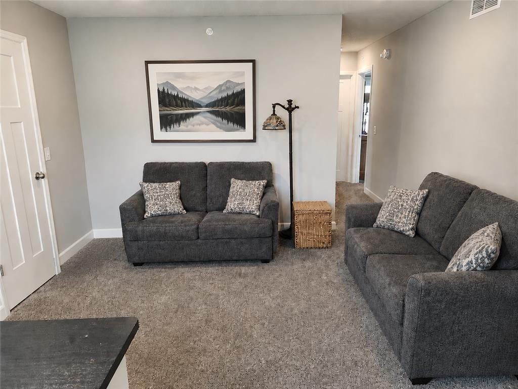 2174 Island Court Lino Lakes MN 55038 7096333 image21