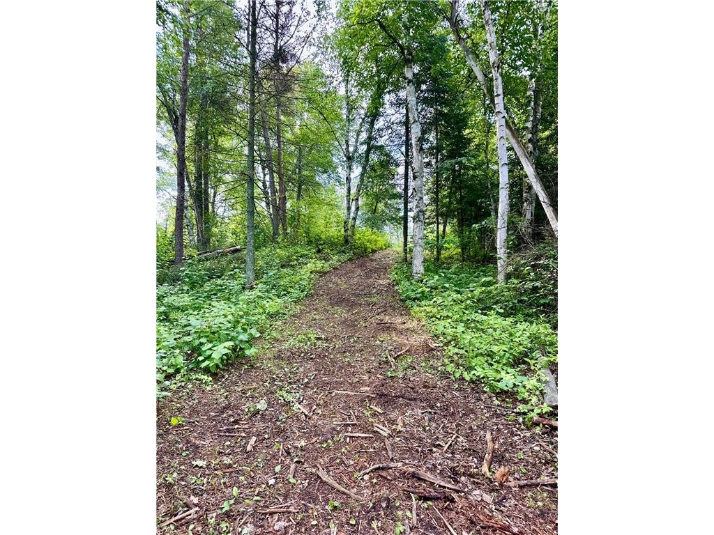 21761 Bemis Hill Forest Road Salol MN 56756 6752701 image43