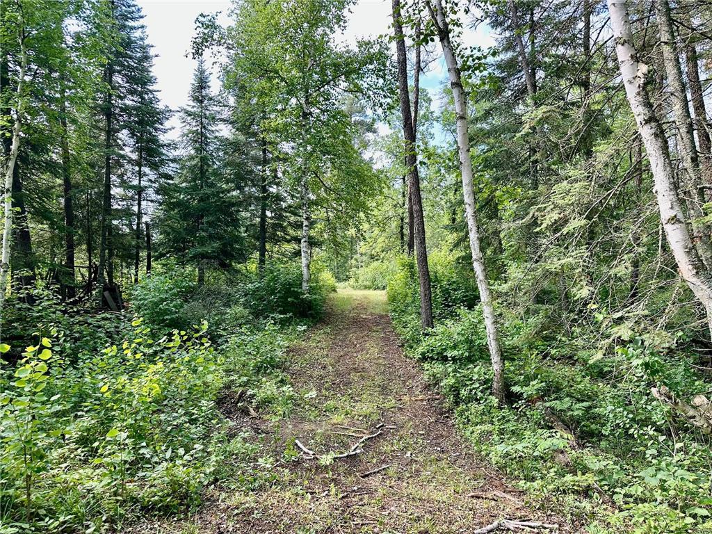 21761 Bemis Hill Forest Road Salol MN 56756 6752701 image44