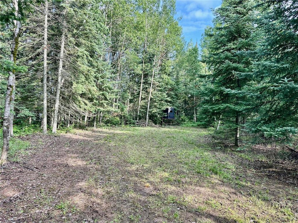 21761 Bemis Hill Forest Road Salol MN 56756 6752701 image45