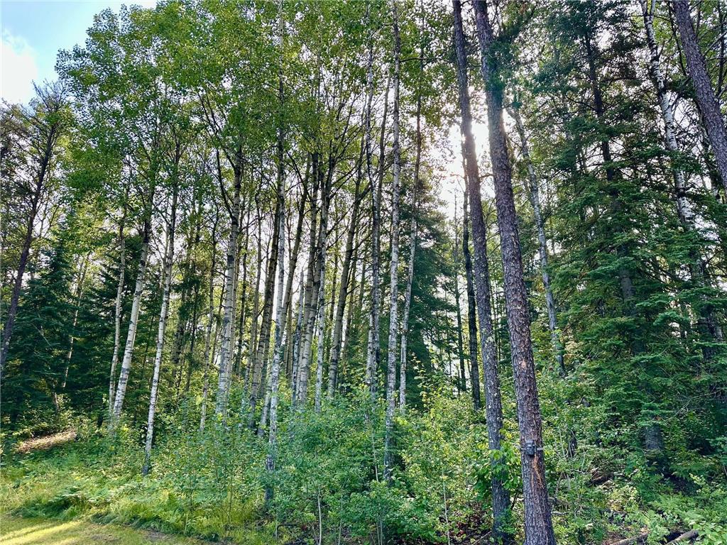 21761 Bemis Hill Forest Road Salol MN 56756 6752701 image47