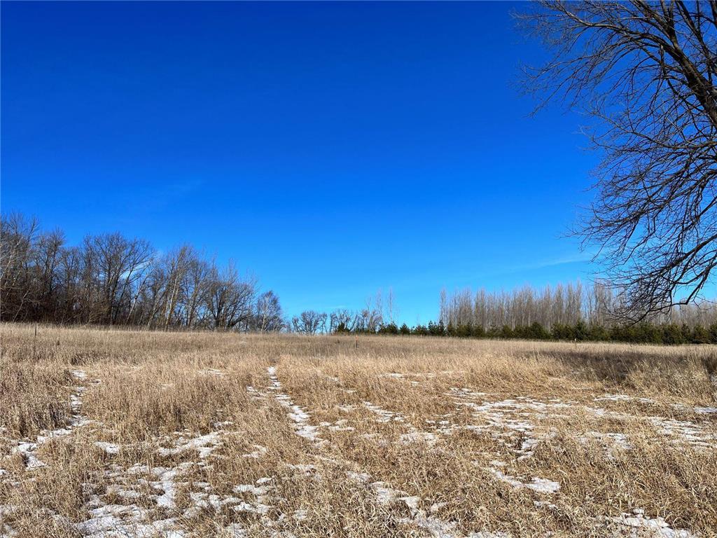 21781 110th Street Birchdale Twp MN 56378 6654284 image1