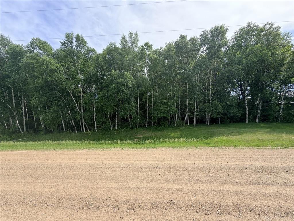 21781 Trestle Ridge Road Albany MN 56307 7045496 image1