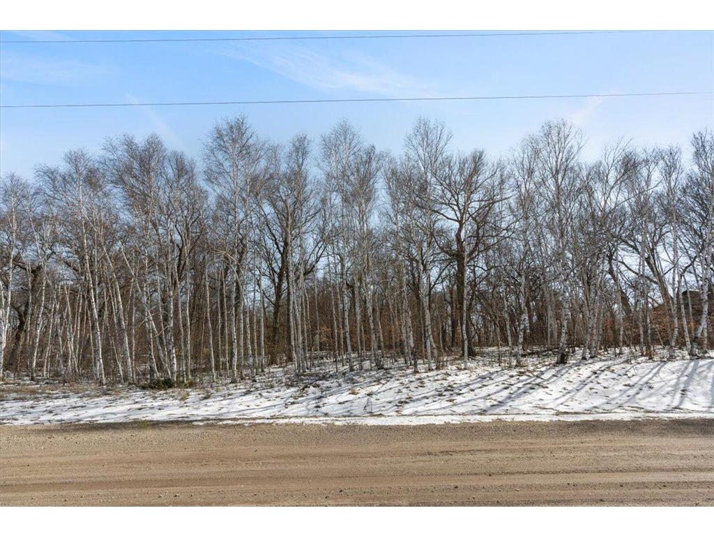 21781 Trestle Ridge Road Albany MN 56307 7045496 image13