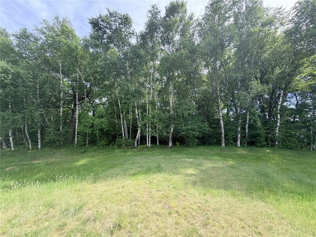 21781 Trestle Ridge Road Albany MN 56307 7045496 image2